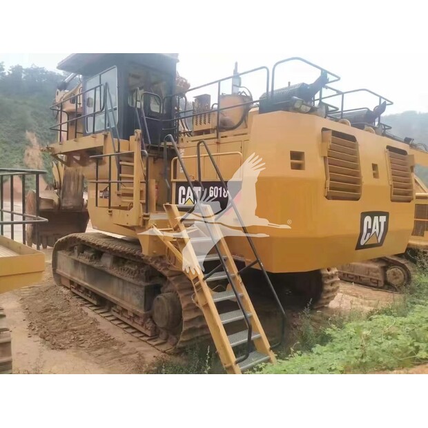 2013 Caterpillar 6018-43355099