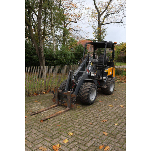 2010 GiANT V452T-43369202