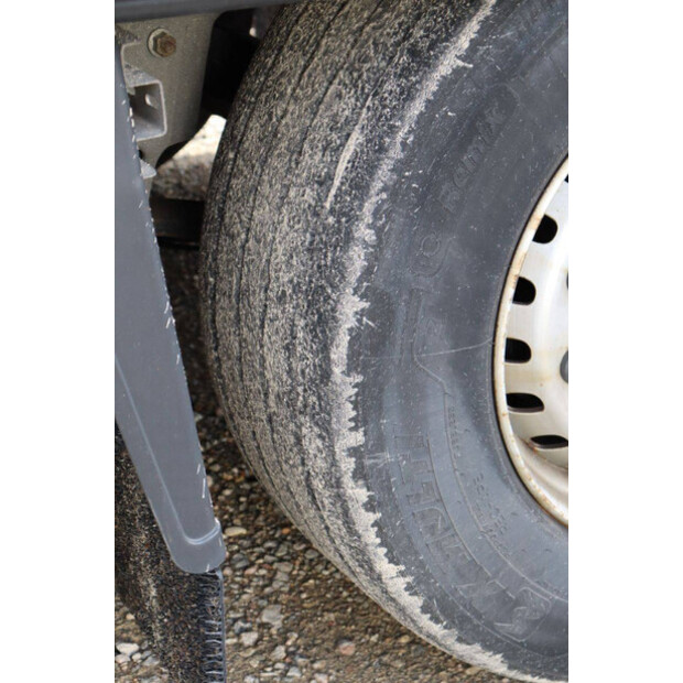 2019 Schmitz Cargobull SKO-43373367