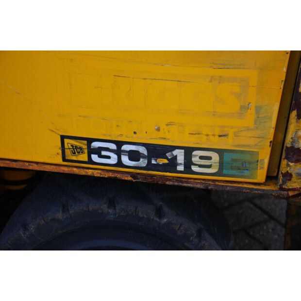 2019 JCB E30-19-43466898