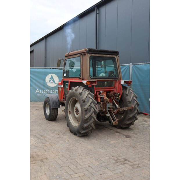 ماسي فيرغسون 550-43510843