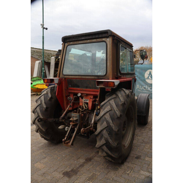 ماسي فيرغسون 550-43510847