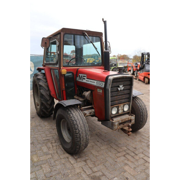 ماسي فيرغسون 550-43510849