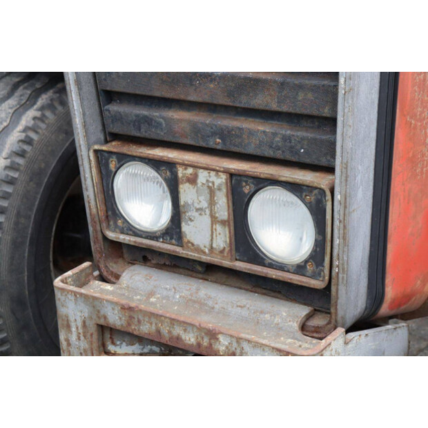 ماسي فيرغسون 550-43510859