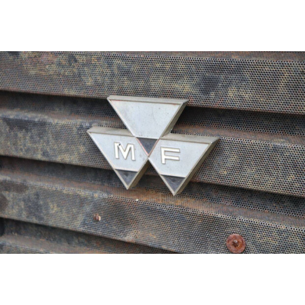 ماسي فيرغسون 550-43510861