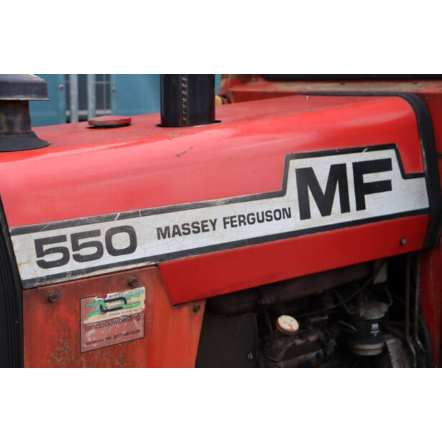 ماسي فيرغسون 550-43510863