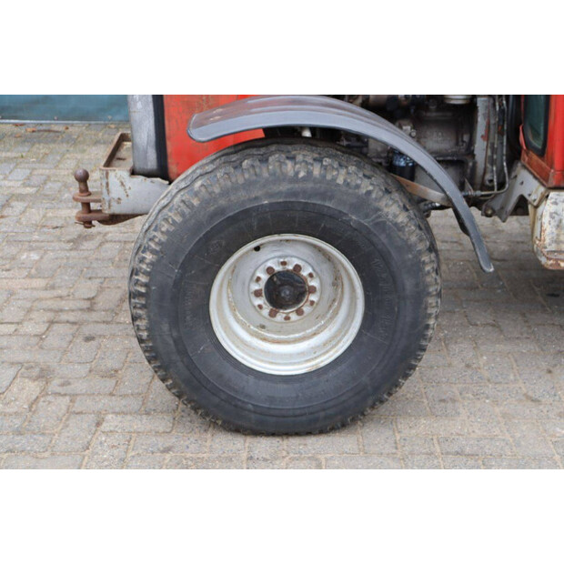 ماسي فيرغسون 550-43510867