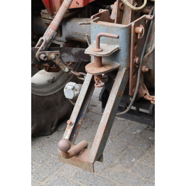 ماسي فيرغسون 550-43510877