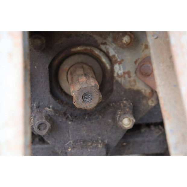 ماسي فيرغسون 550-43510879