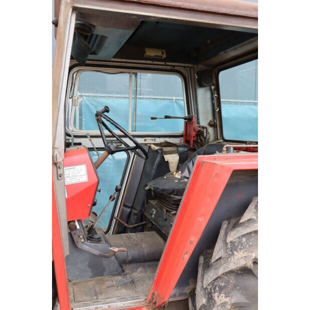 ماسي فيرغسون 550-43510883