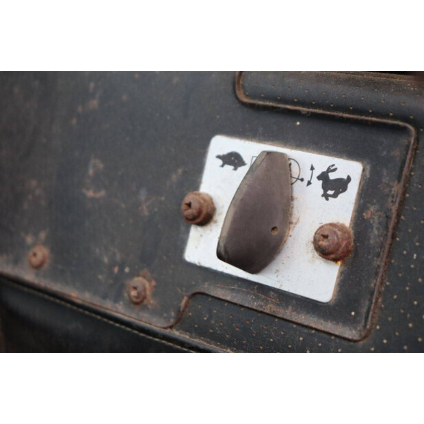 ماسي فيرغسون 550-43510914