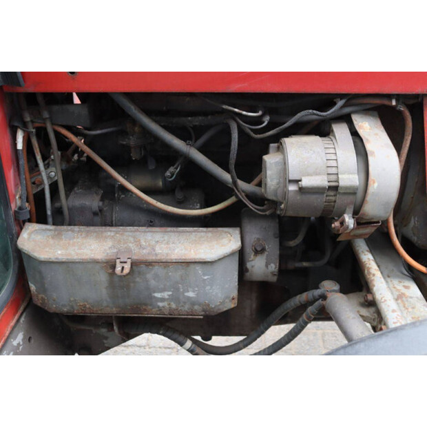 ماسي فيرغسون 550-43510917