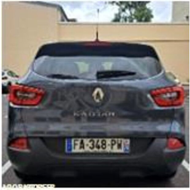 2018 رينو KADJAR-43690074