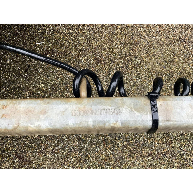 2019 إيفور ويليامز GP-43757346