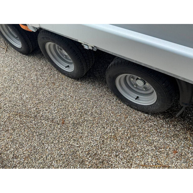 NIEWIADOW OTHERS-43757439