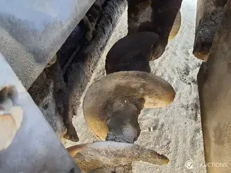 2004-vogele-2116t-1269465-43805145