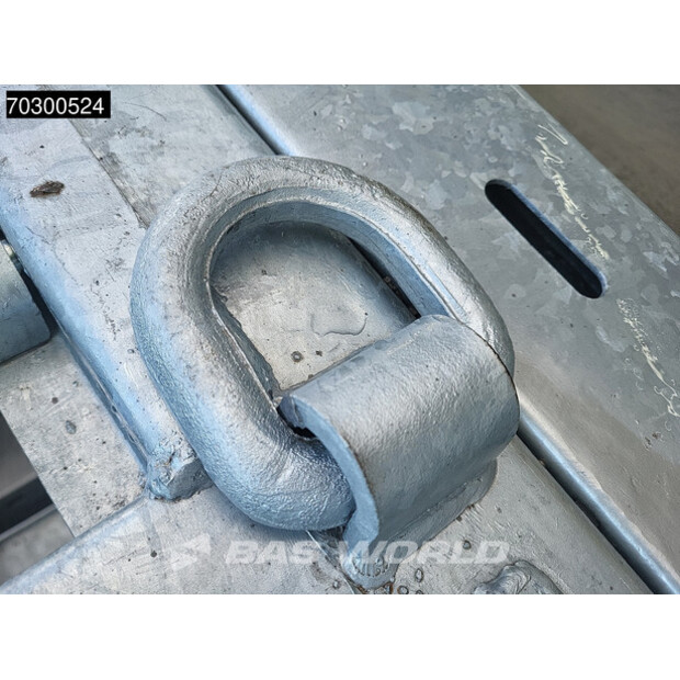 2025 Vega OTHERS-43820954