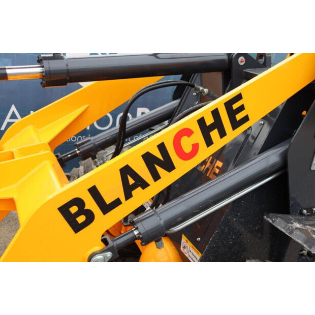 2023 Blanche TW36-43832381