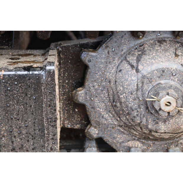 2025 Colt KV13-43836028