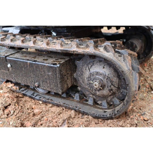 2025 Colt KV13-43836029