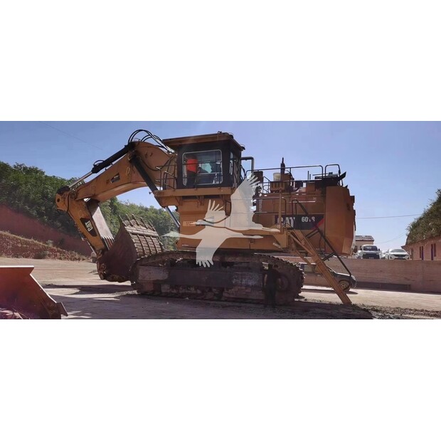 2013 Caterpillar 6018-43845885