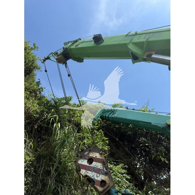 2013 سينيبوجين 683-43878826