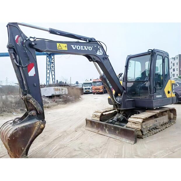 2019 Volvo EC55-43894965