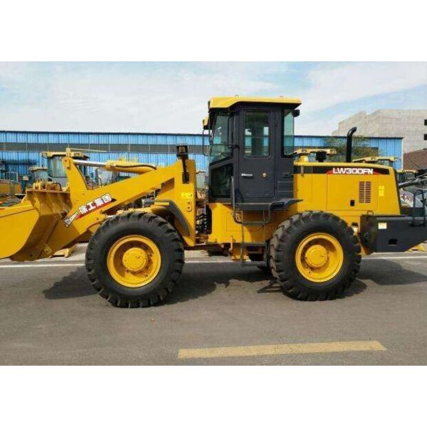 2016 XCMG LW300FN-43896033