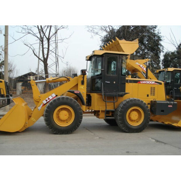 2016 XCMG LW300FN-43896037