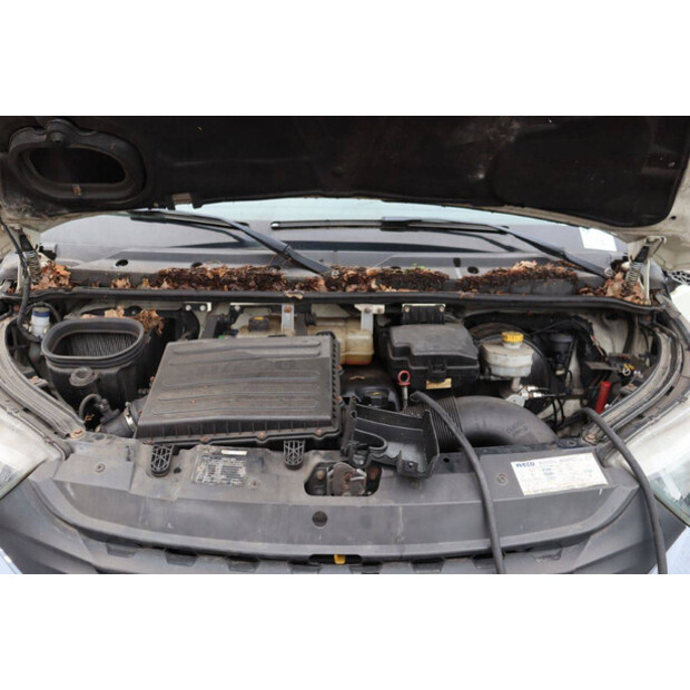 2017 فيلدهايزن P46-1-43898291