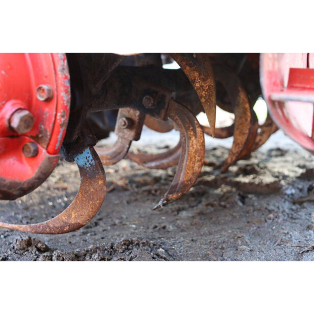 YANMAR F16D-43914836