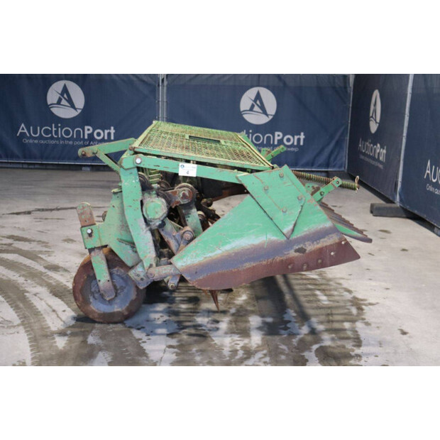 CELLI NG12 310-43935551