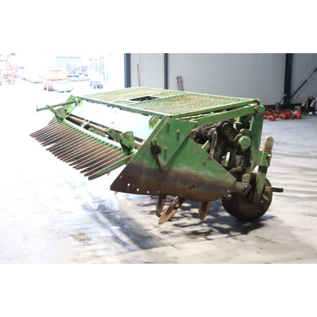 CELLI NG12 310-43935553