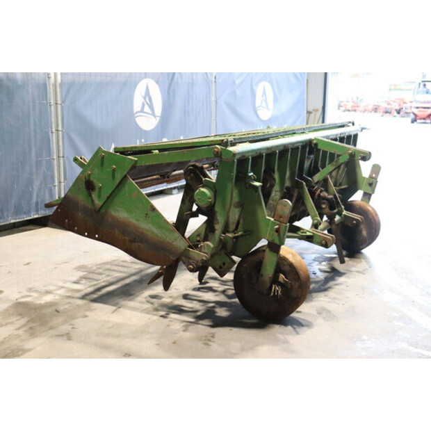 CELLI NG12 310-43935555