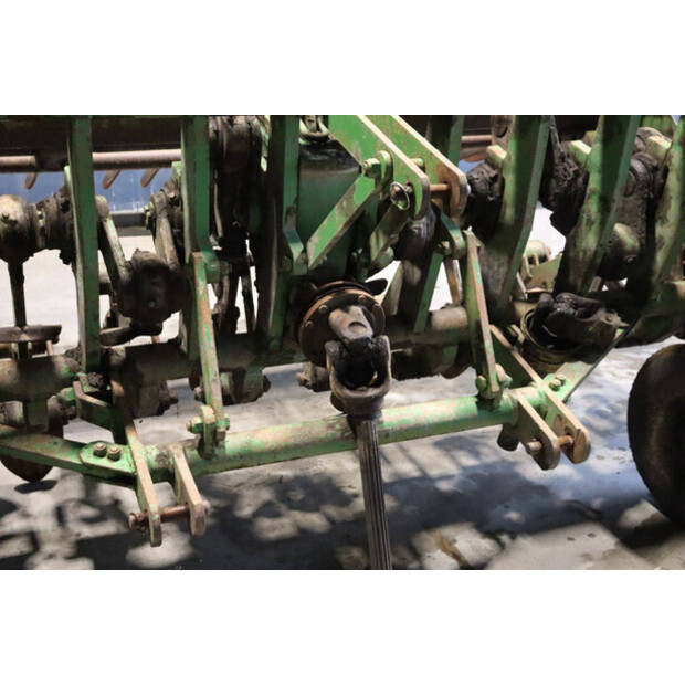 CELLI NG12 310-43935556