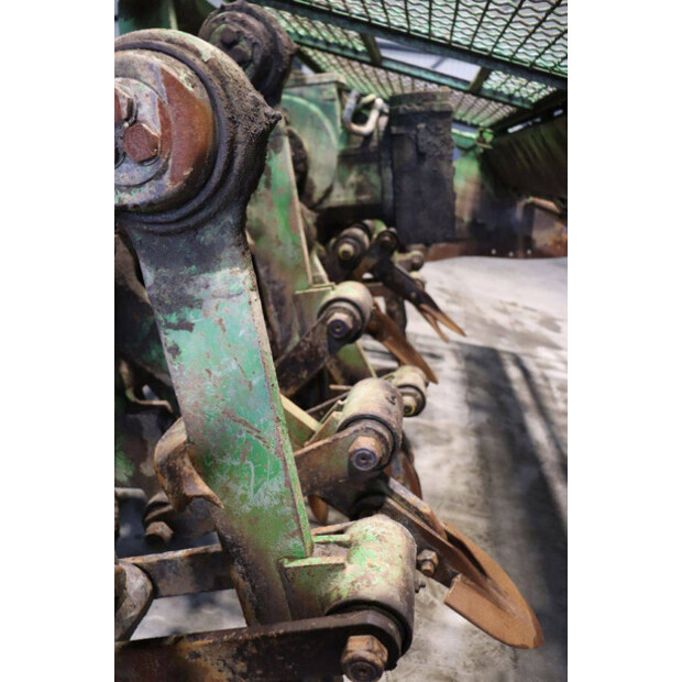 CELLI NG12 310-43935559