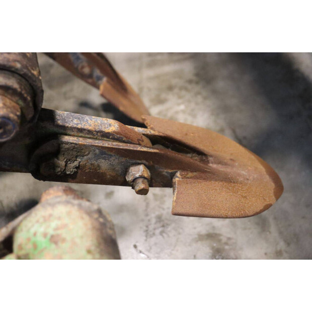 CELLI NG12 310-43935560