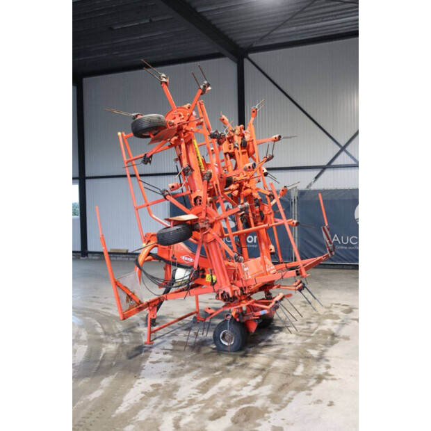 كوهن OTHERS-43935602