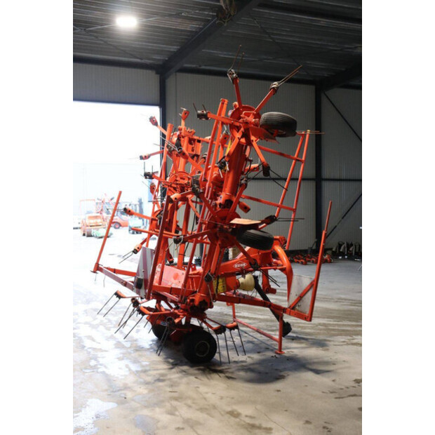 كوهن OTHERS-43935603