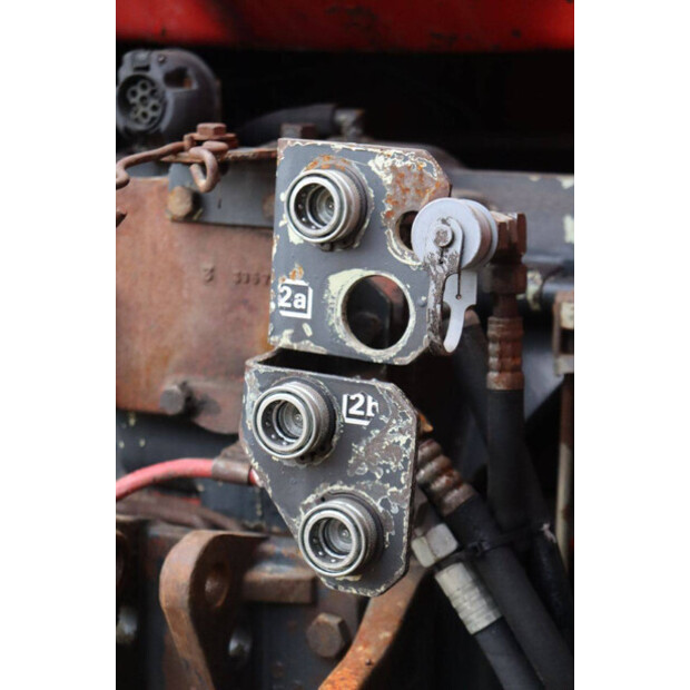 Steyr 8130 Turbo-43936338