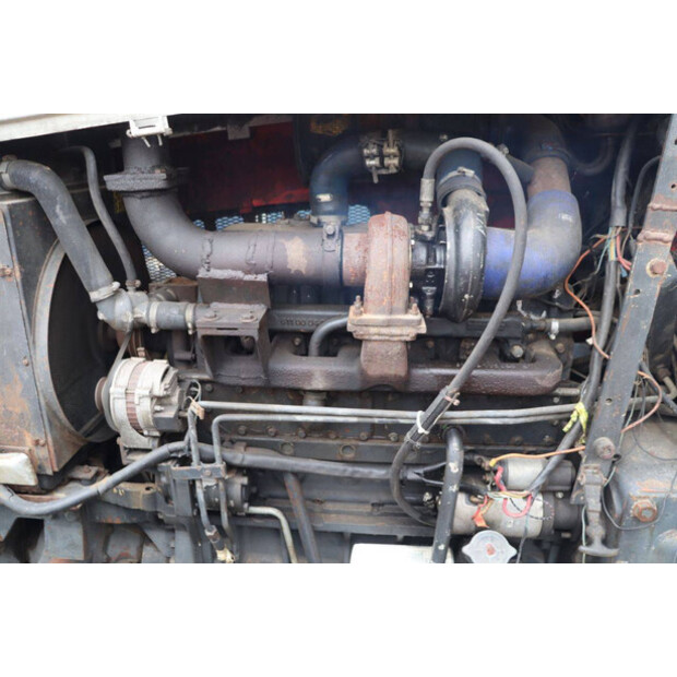 Steyr 8130 Turbo-43936356