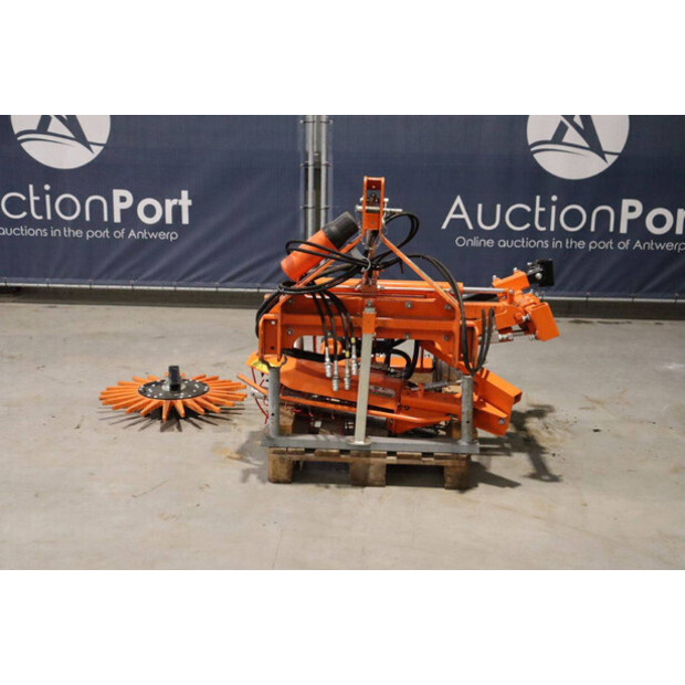 2020 RINIERI BIO-DYN-43939337