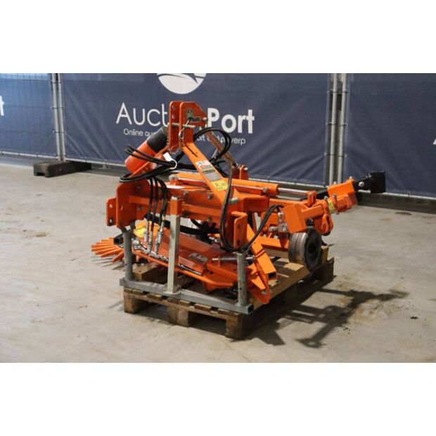 2020 RINIERI BIO-DYN-43939339