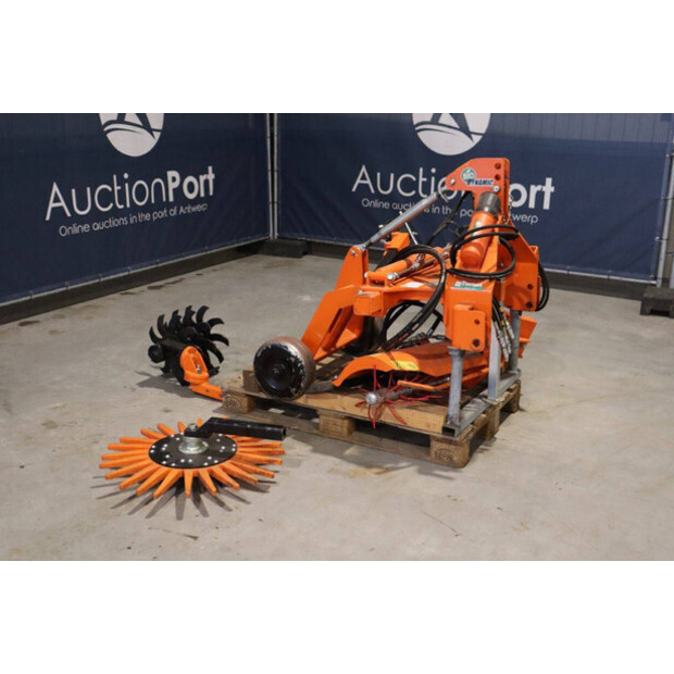 2020 RINIERI BIO-DYN-43939349