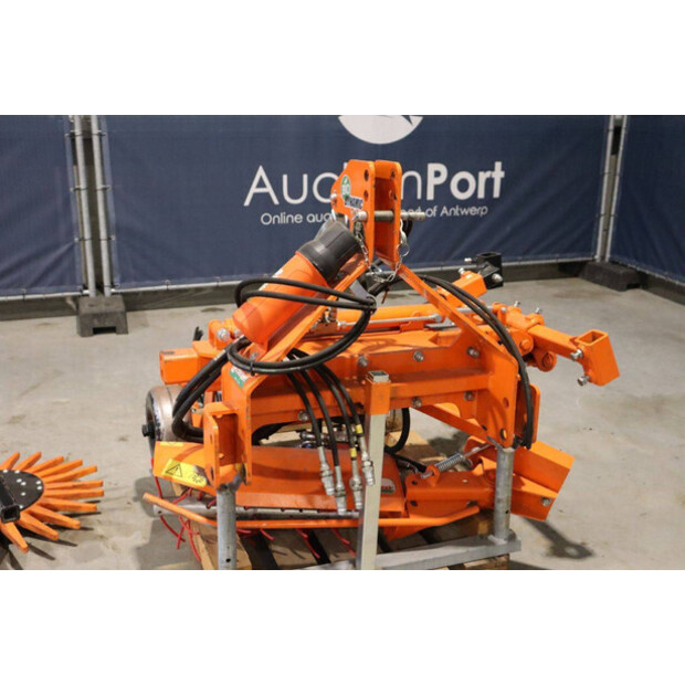 2020 RINIERI BIO-DYN-43939351