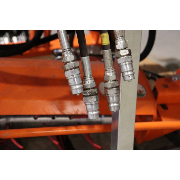 2020 RINIERI BIO-DYN-43939359