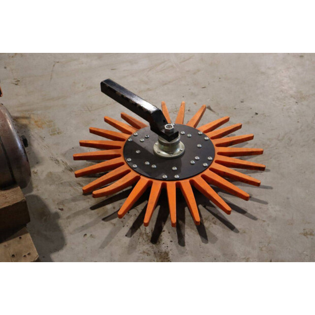 2020 RINIERI BIO-DYN-43939382