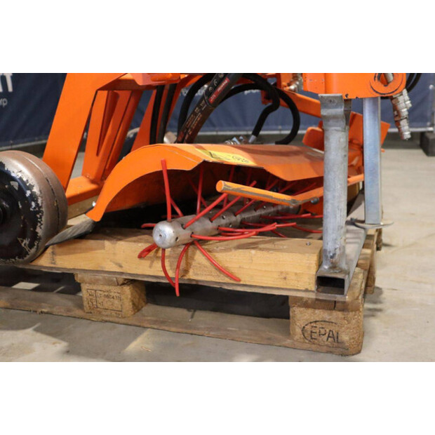 2020 RINIERI BIO-DYN-43939388