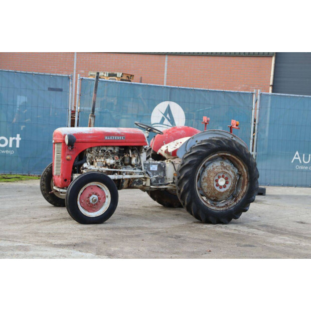 ماسي فيرغسون OTHERS-43940746