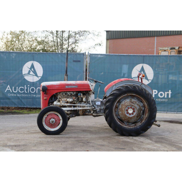 ماسي فيرغسون OTHERS-43940747